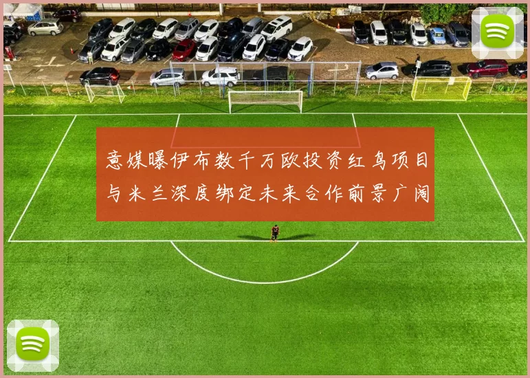 意媒曝伊布数千万欧投资红鸟项目与米兰深度绑定未来合作前景广阔