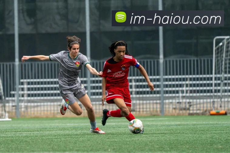 海鸥体育平台生态图