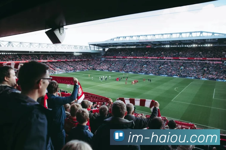 海鸥体育全站App