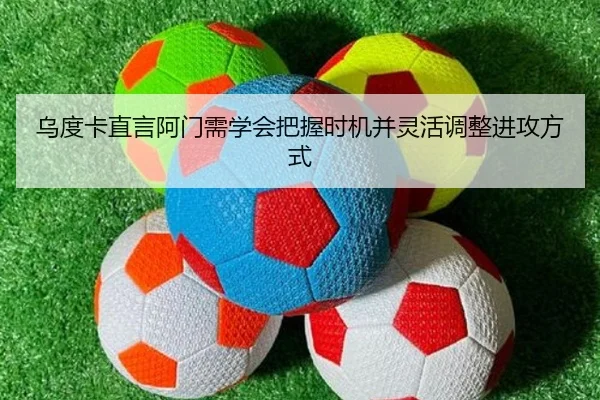 img_1791923686168_3039_0_240.jpg